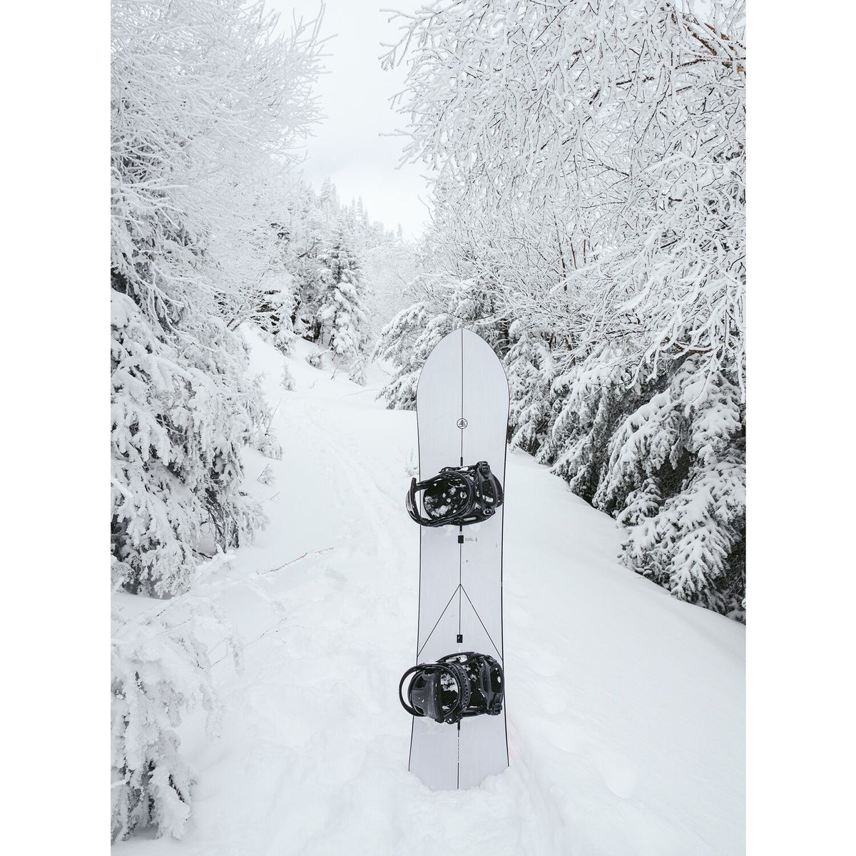 FT Show Stopper Snowboard 2023