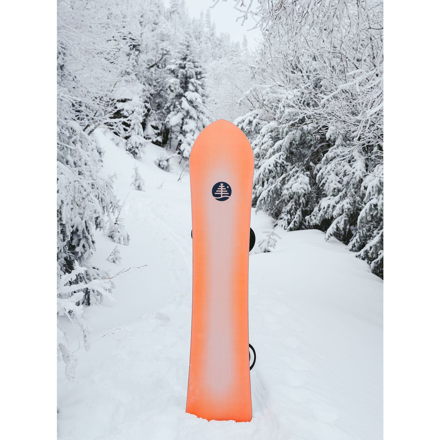 FT Show Stopper Snowboard 2023