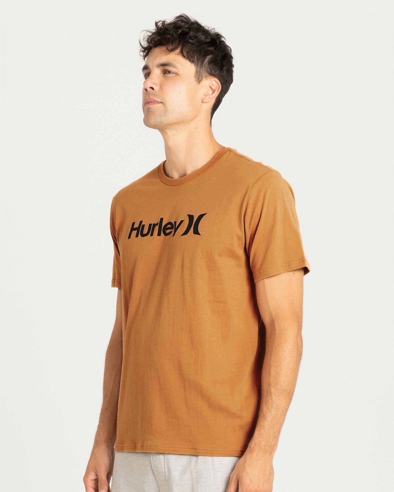 Everyday Washed One And Only Hurley Mens T Shirt
