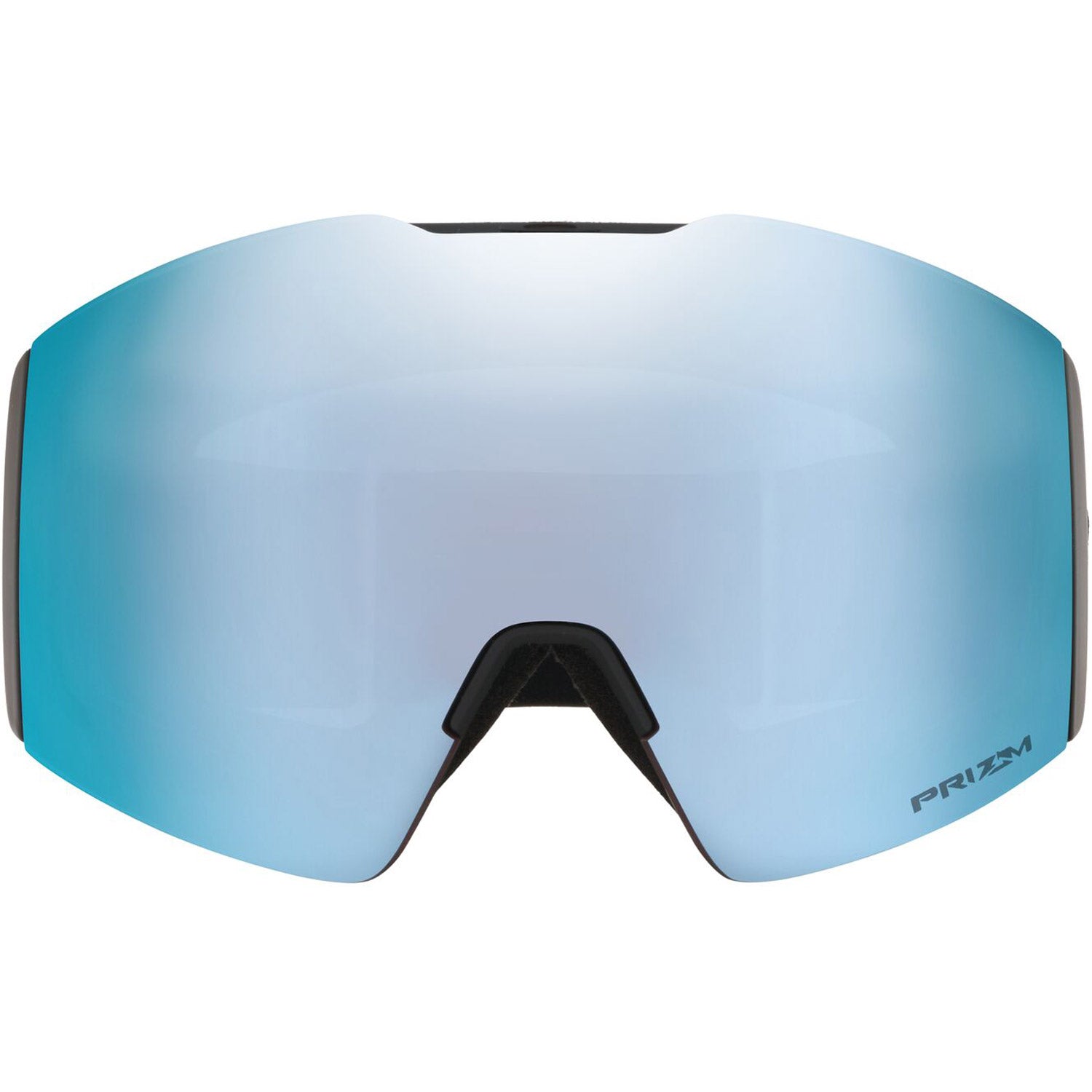 Fall Line L Goggle 2022