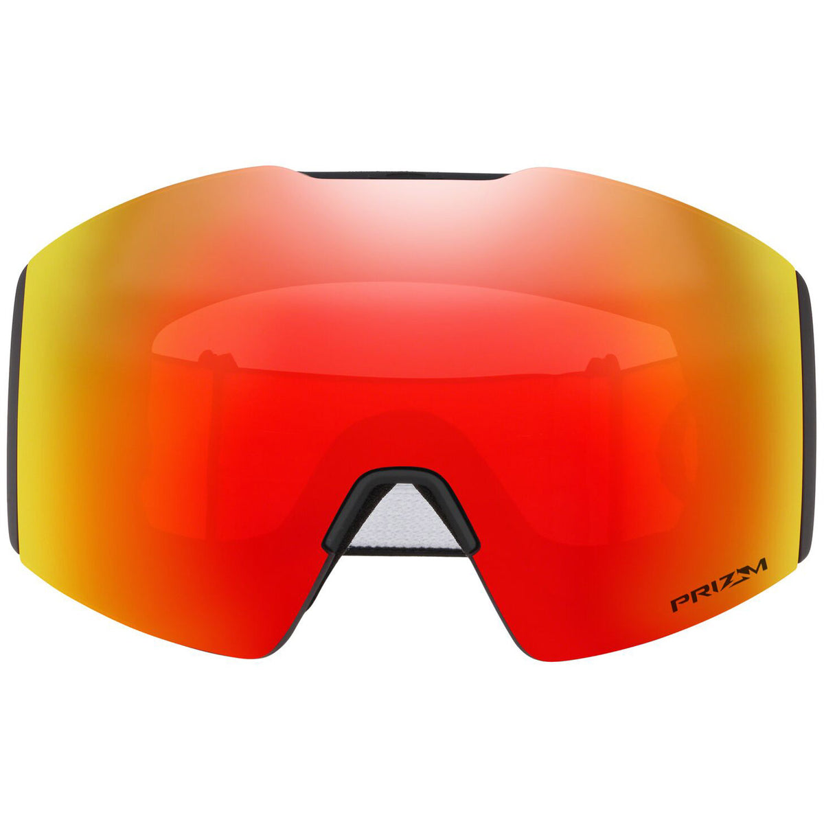 Fall Line L Goggle 2022