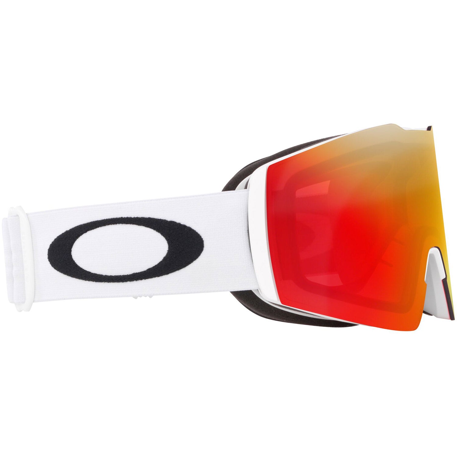 Fall Line L Goggle 2022