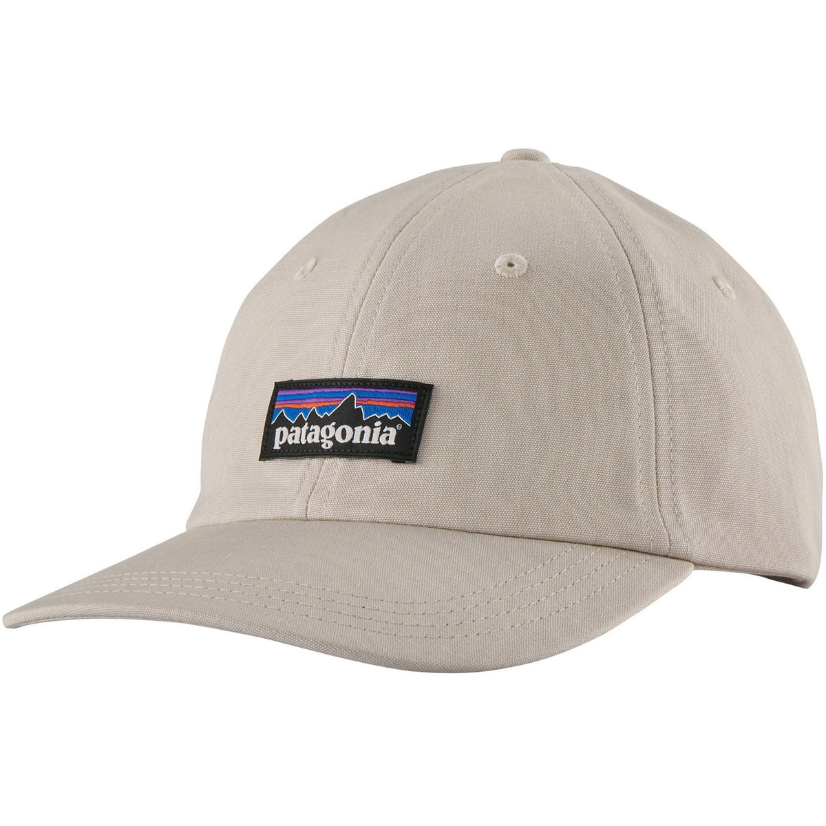 Patagonia P-6 Label Trad Cap Pumice