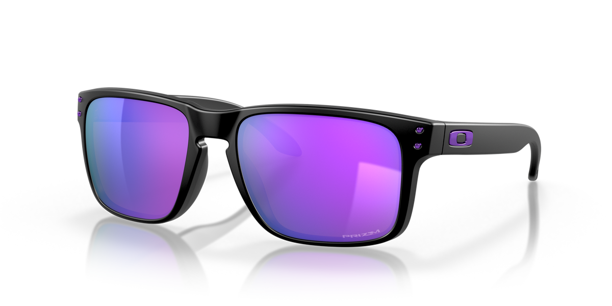 Holbrook Sunglasses