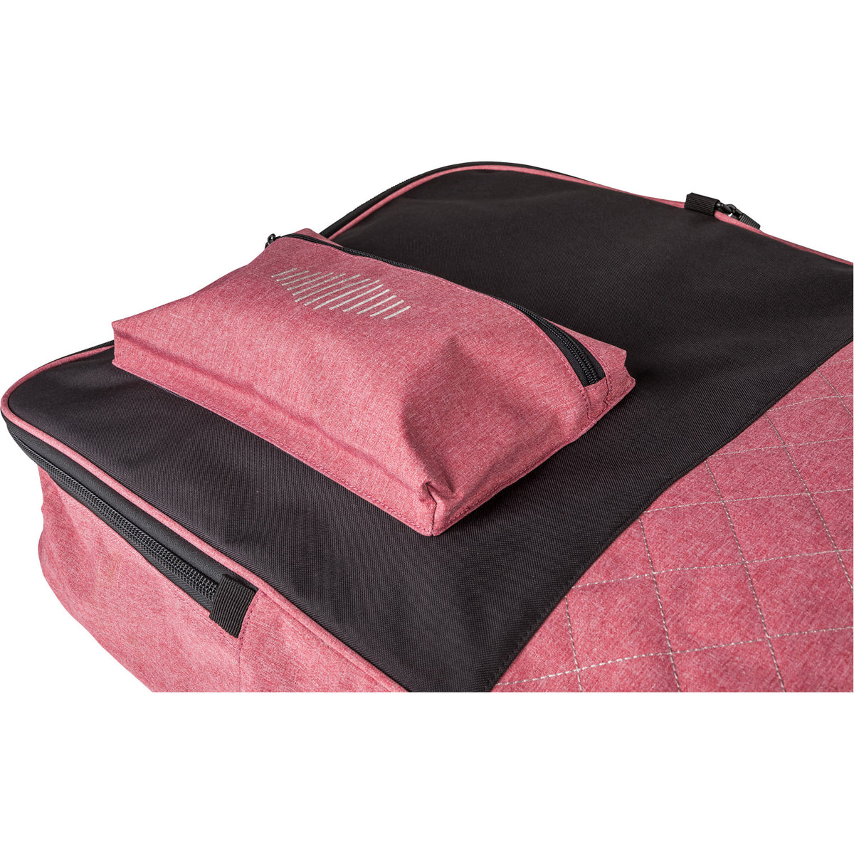 Dawn Half Padded Board Case 2023