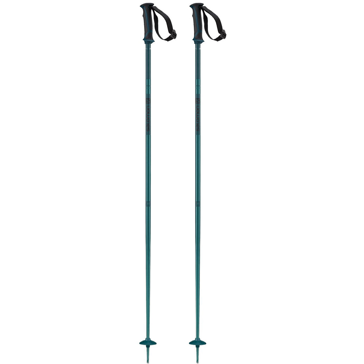 Arctic Ski Poles 2021