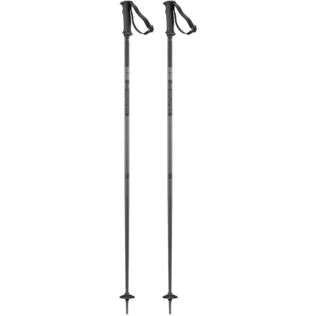 Arctic Ski Poles 2021