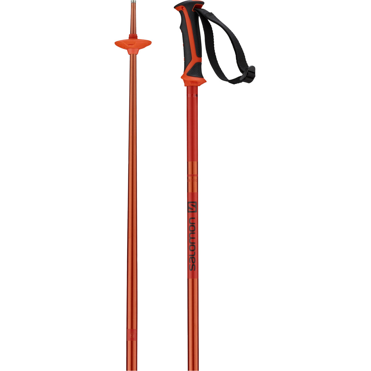 Arctic Ski Poles 2021