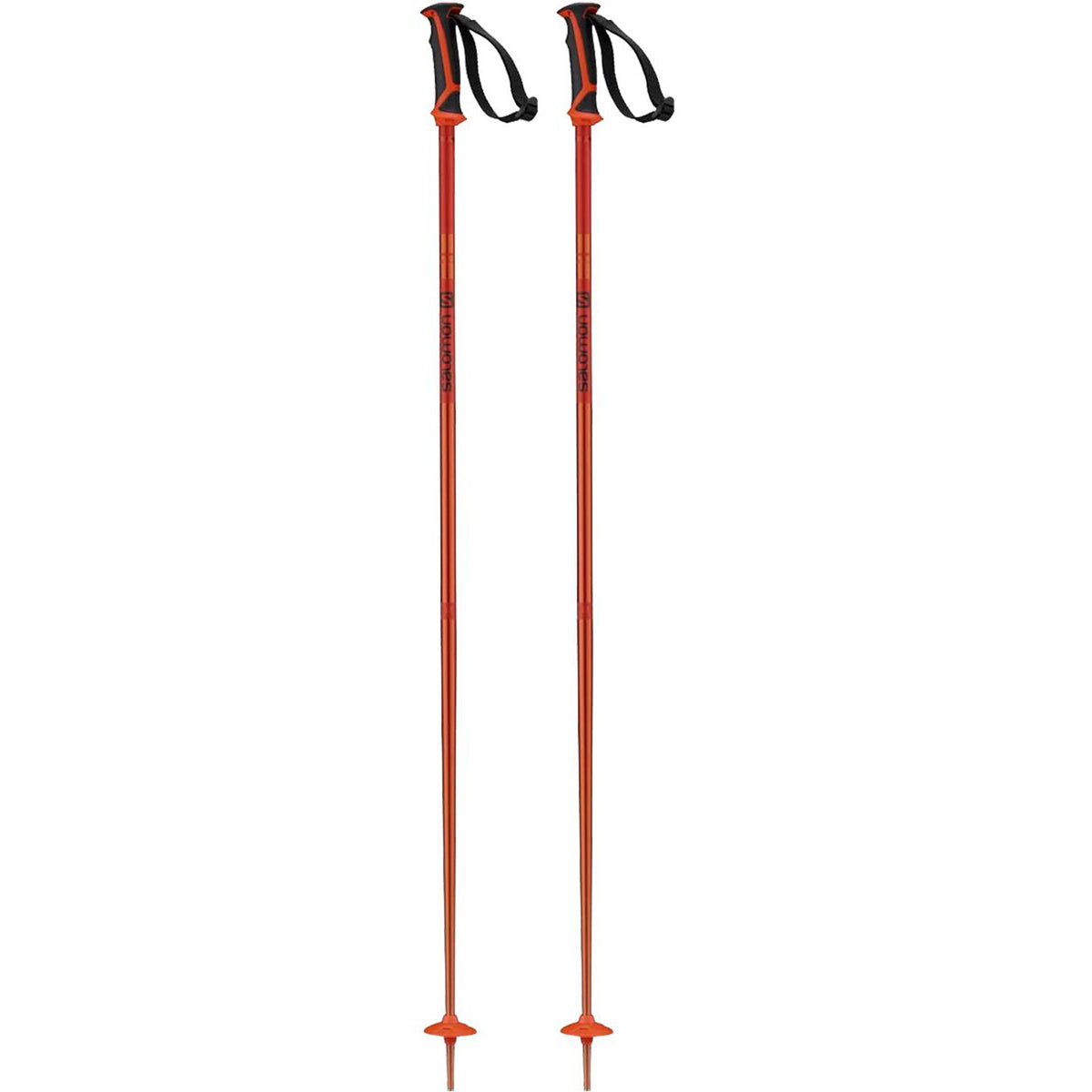 Arctic Ski Poles 2021