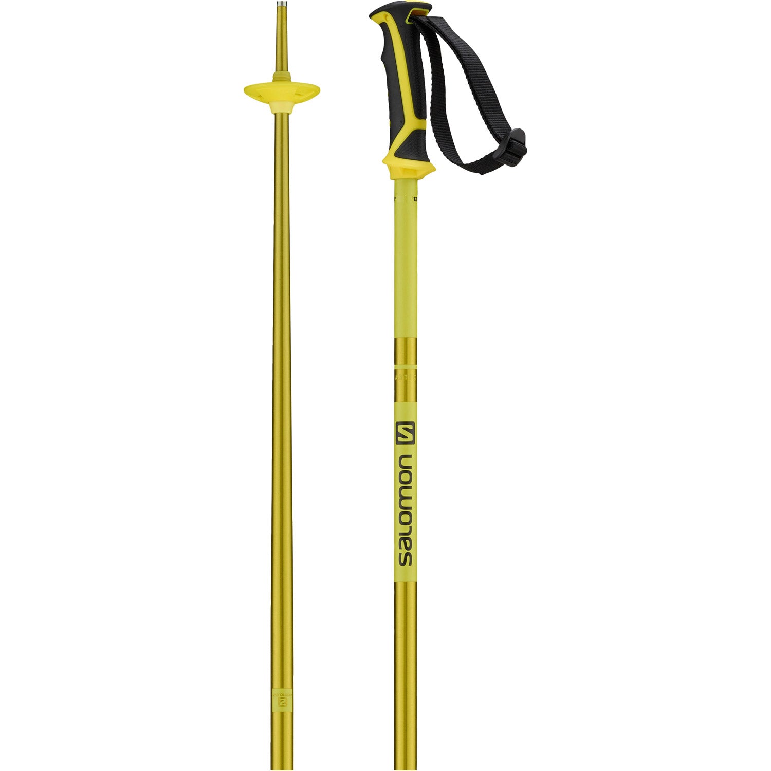 Arctic Ski Poles 2021