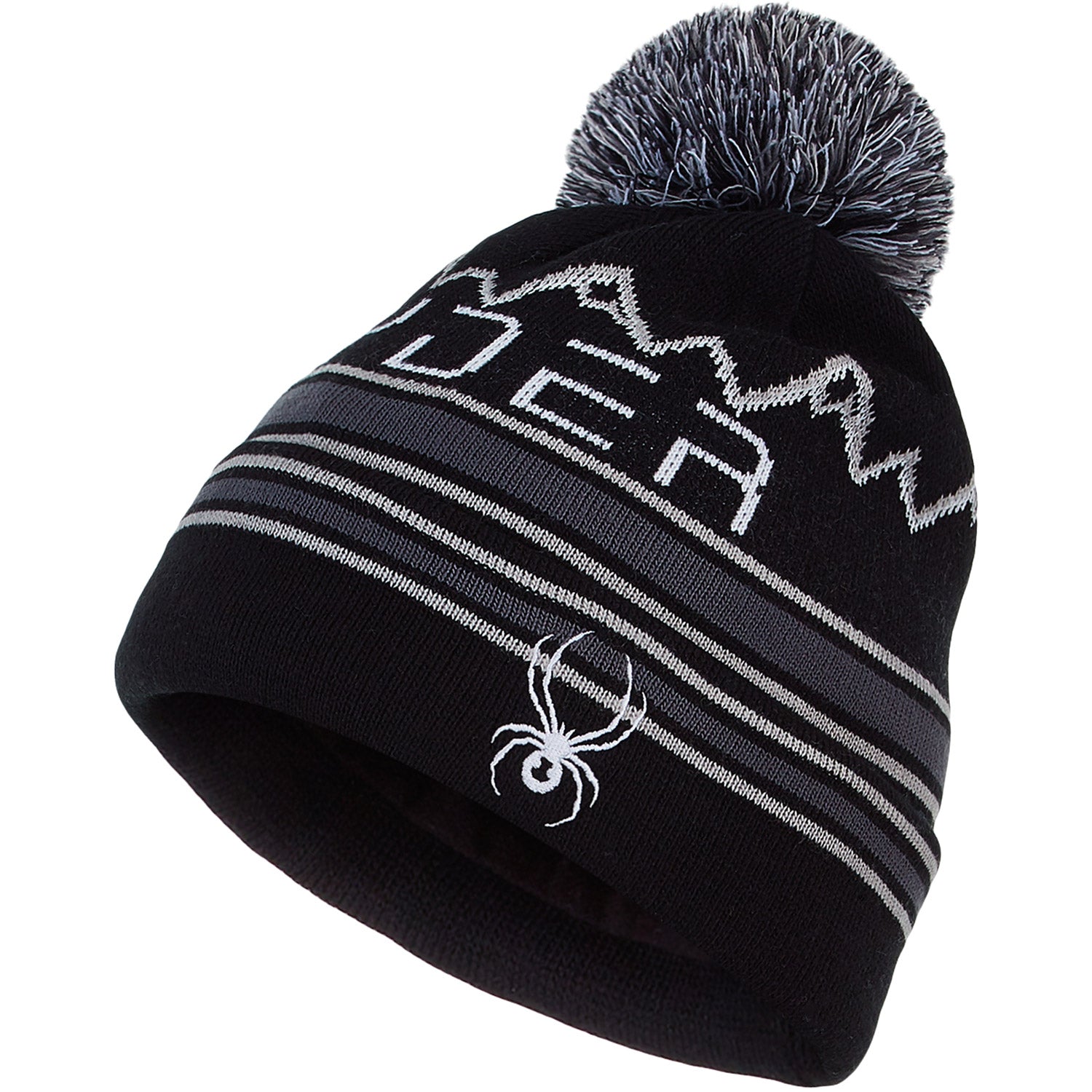 Spyder Icebox Boys Beanie 2021