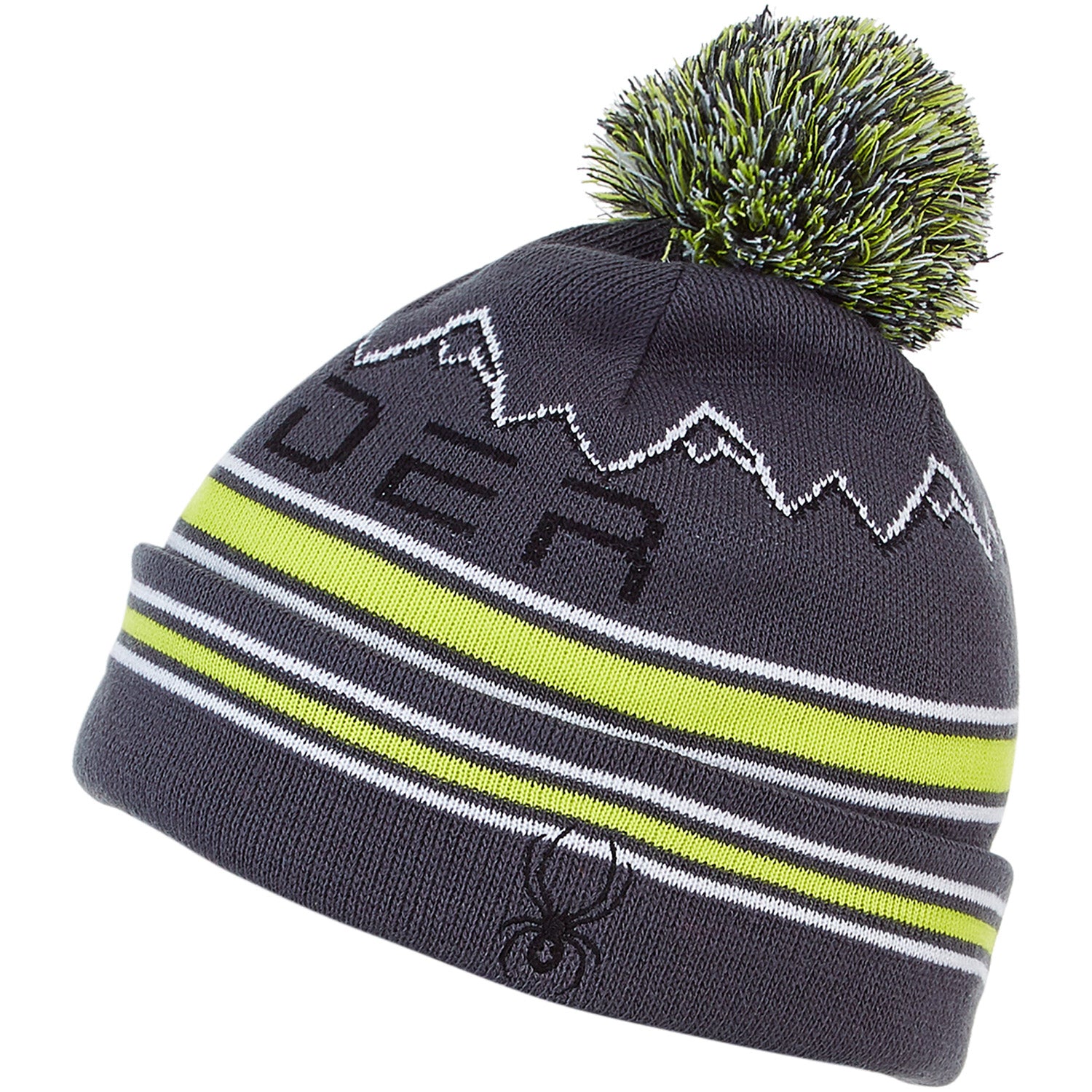 Spyder Icebox Boys Beanie 2021