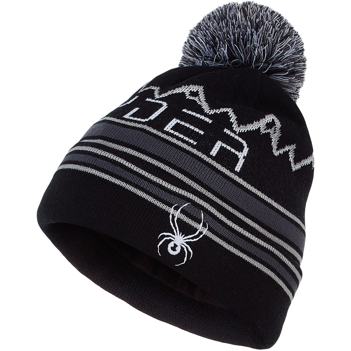 Spyder Icebox Mens Beanie 2021