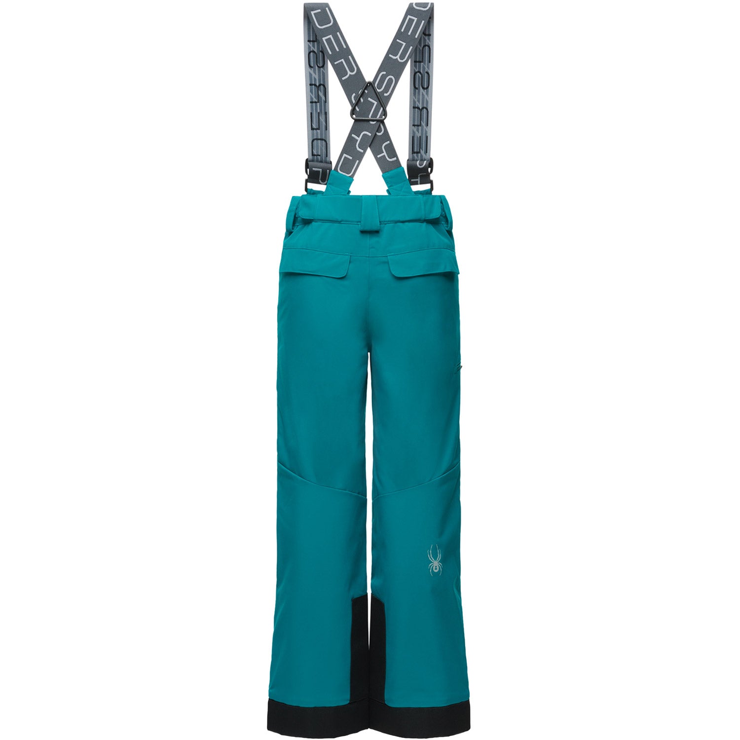 Spyder Propulsion Boys Ski Pant 2020 Swell