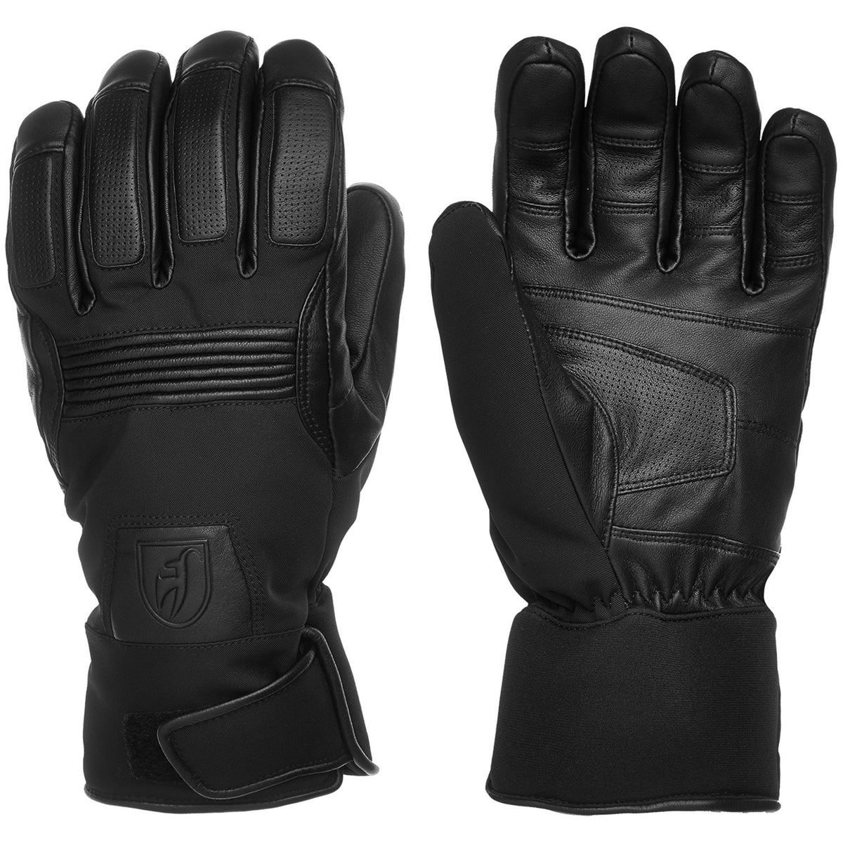 Dane Mens Ski Glove 2020